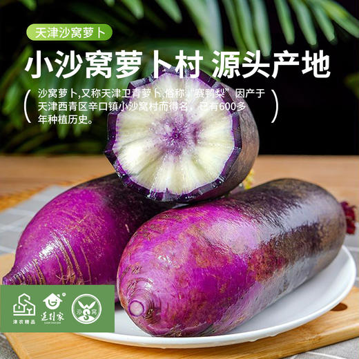 津农精品 莲到家 沙窝萝卜青皮萝卜冰淇淋萝卜双拼伴手礼礼盒 商品图1