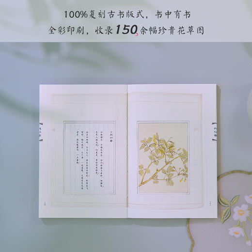 《一蓑烟雨任平生：苏轼词》珍藏版全3册， 人生为何不快乐，只因未读苏东坡【G】 商品图4