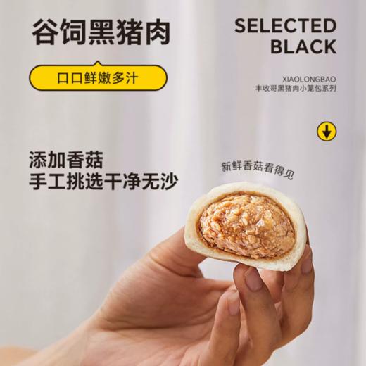 黑猪肉小笼包200g  |豊收哥 商品图3