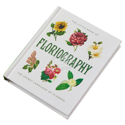 【中商原版】花艺小书 花的秘密语言 英文原版 The Little Book of Floriography Secret Language of Flowers 园艺 植物 商品图1