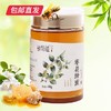 鲜物道蜂蜜-450g枣花蜜瓶装【CS】【包邮直发】(ZB) 商品缩略图1