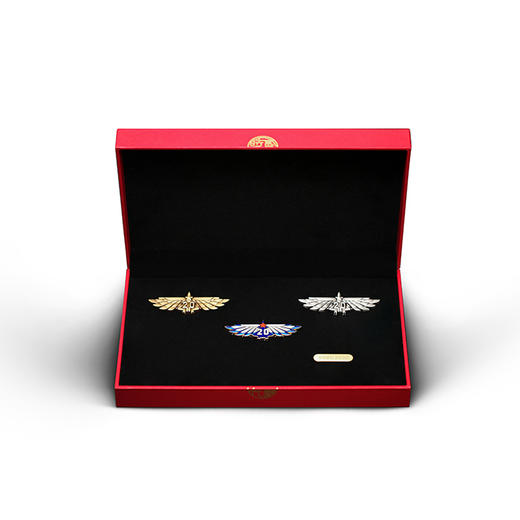 【歼20徽章套装】贰零时代徽章套装歼20徽章纪念章高端简约礼品hk 商品图0