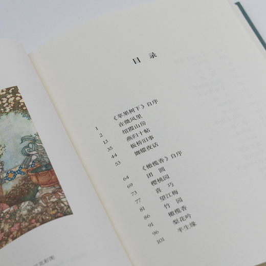 苹果树下 商品图2