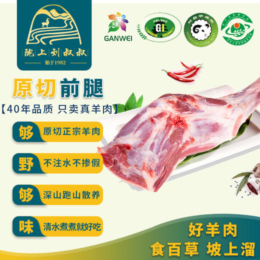 甘肃环县新鲜生羊肉深山散养包邮 商品图9