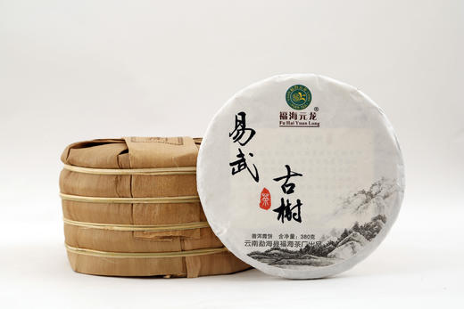 十年陈期 爽净蜜韵  福海元龙·易武古树生茶（2014） 商品图2