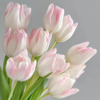 郁金香 粉色 10支/扎 以实物为准 云南基地发货（价格已包含包装费用）花苞发货花苞发货 商品缩略图0