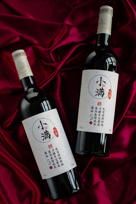 新疆天山南麓红酒 赤霞珠梅洛干红葡萄酒 15度 一号开门红双支礼盒装750ml*2 商品图2