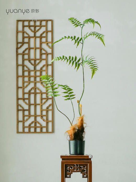 仿真金丝蕨植物假绿植客厅商场酒店装饰造景落地室内盆景摆设件 商品图1
