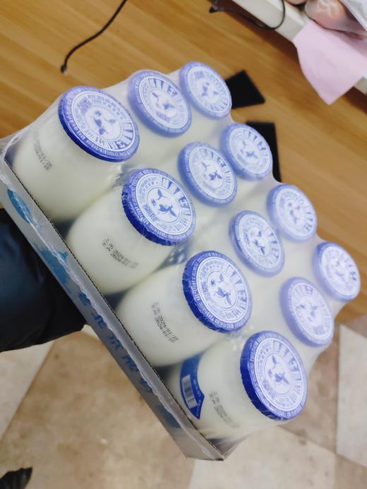 老北京圣祥老酸奶一箱 商品图0