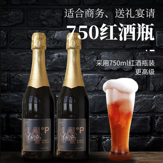 【配料表干净0添加 德系工艺白啤】轩博精酿啤酒龙年礼盒14°P至尊/12°P黄金版 商品图4