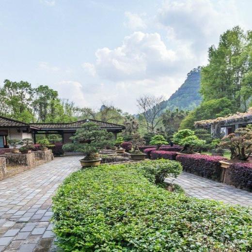 ￥1599起/双人3晚--武夷山幔悦精选度假酒店度假套餐，一览溪光山色，睡进武夷星河里 商品图10