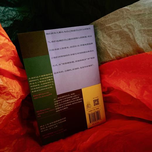 愤怒：一部关于情绪的冲突史 商品图4