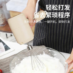 志高（CHIGO）打蛋器 无线手持电动打蛋机 家用迷你奶油机搅拌器烘焙打发器 充电式 TK-D301