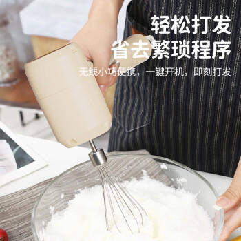 志高（CHIGO）打蛋器 无线手持电动打蛋机 家用迷你奶油机搅拌器烘焙打发器 充电式 TK-D301 商品图0