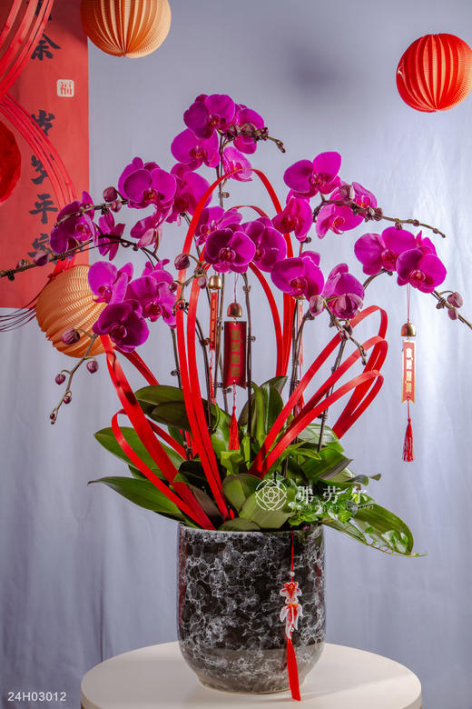 24H03012 商品图0