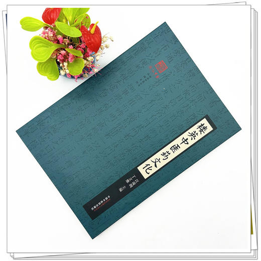 楼英中医药文化 江凌圳 丁立维 主编 中国中医药出版社 浙派中医丛书 品牌系列 商品图1