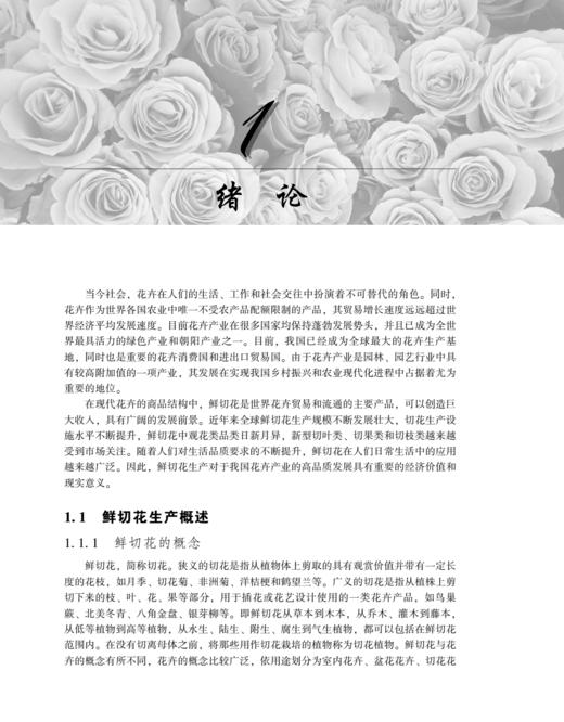 鲜切花生产技术2445 商品图8