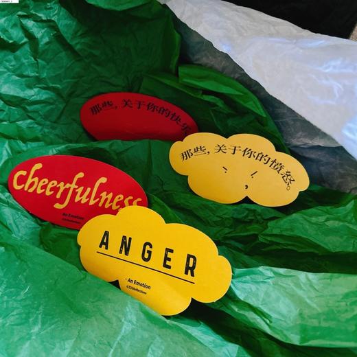 快乐：一部关于情绪的文化史 商品图2