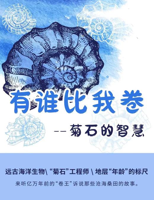 【南京】菊石的智慧 商品图0