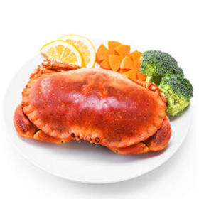 【49.9元/只】面包蟹1只（400-600克）（1502546）