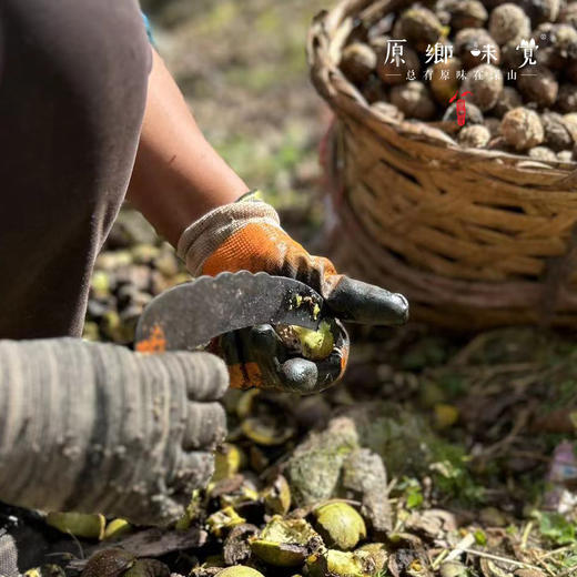 野生漾濞古树紫心核桃（成都仓库-顺丰快递） | 480g/袋，来自云南大理，生产者：杨丰芹【合作生产，公平贸易】 商品图6