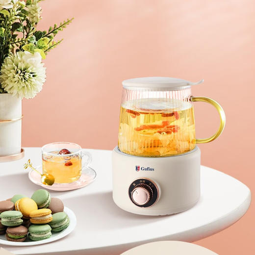 Gufius养生杯GFYB-3601【CZ】 商品图0