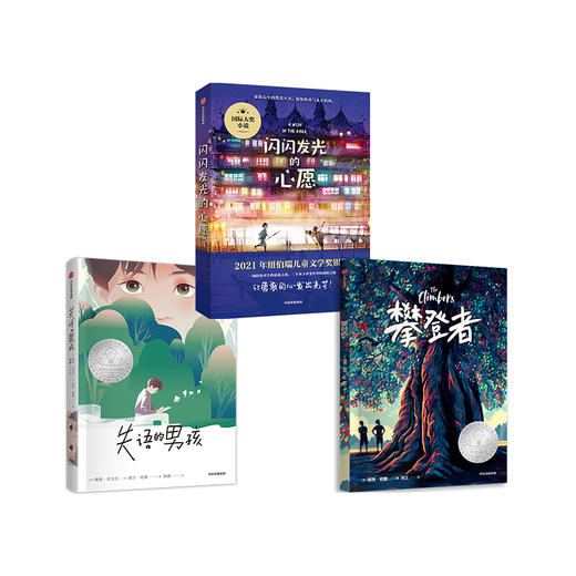 闪闪发光的心愿+攀登者+失语的男孩（套装3册） 商品图0