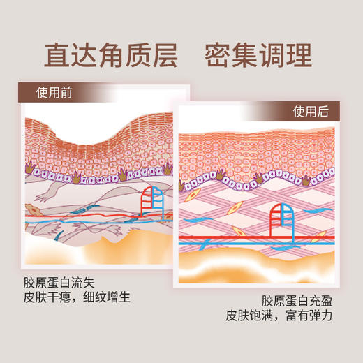 THREE 臻致焕颜面霜 25g【保质期：2025年9月】 商品图4