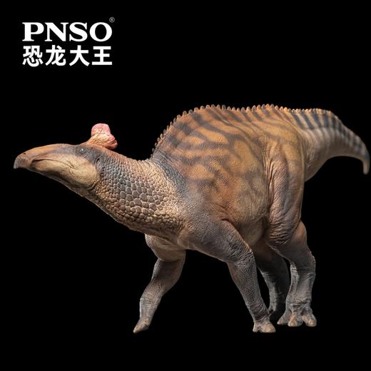 PNSO埃德蒙顿龙扎巴德恐龙大王成长陪伴模型80 商品图4