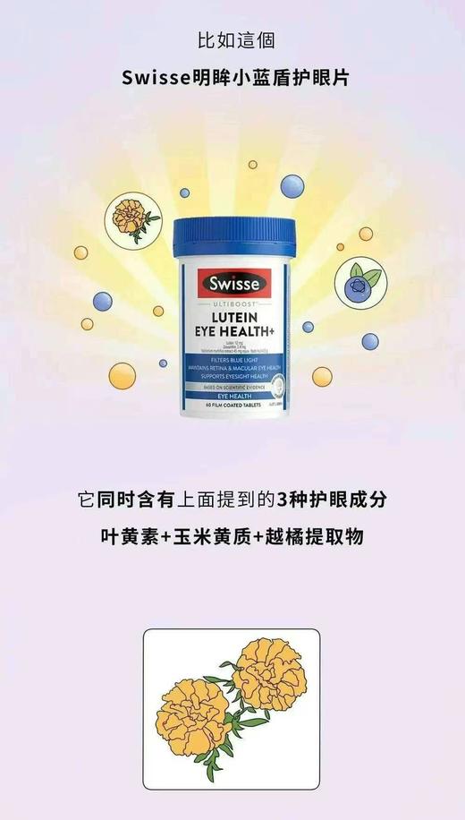 Swisse叶黄素小蓝盾护眼片蓝莓素60粒 商品图2