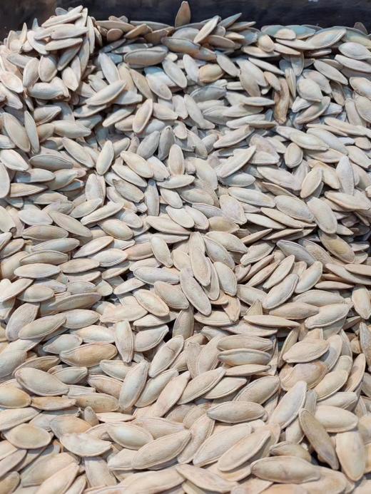 【坚果系列】巴郎南瓜子 酥脆，壳薄，好剥，颗粒饱满~ 商品图1