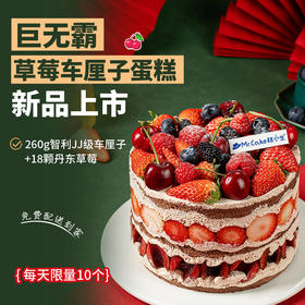 巨无霸草莓车厘子蛋糕