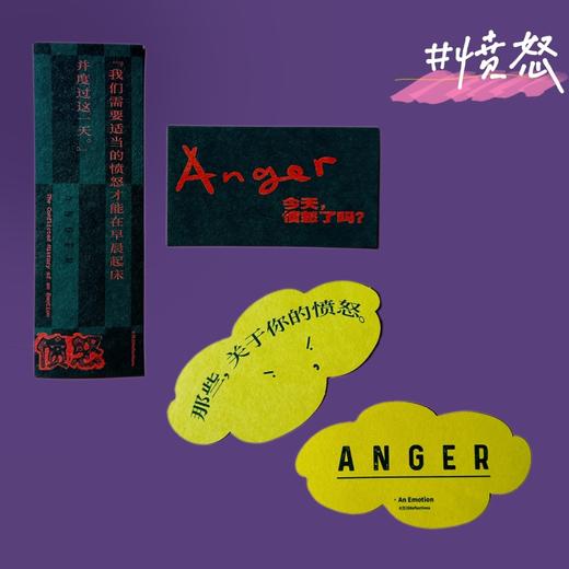 愤怒：一部关于情绪的冲突史 商品图1