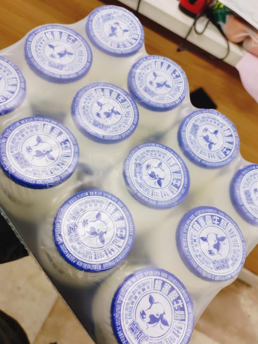 老北京圣祥老酸奶一箱 商品图1