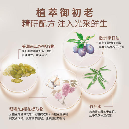 THREE 臻致焕颜面霜 25g【保质期：2025年9月】 商品图3