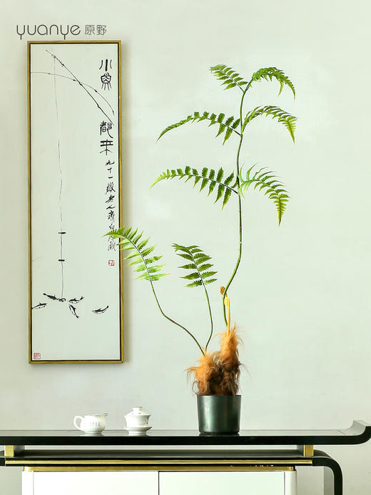 仿真金丝蕨植物假绿植客厅商场酒店装饰造景落地室内盆景摆设件 商品图2