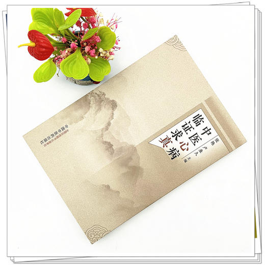 中医心病临证求真 张艳 卢秉久 主编 中国中医药出版社 中医临床 书籍 商品图1