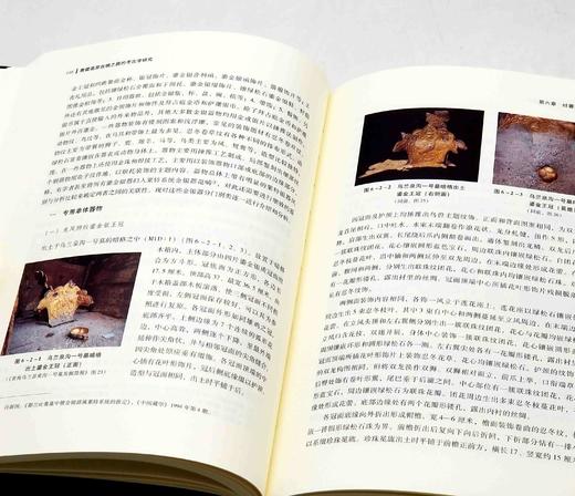 《青藏高原丝绸之路的考古学研究》，软精装，16开2册，仝涛著，文物出版社2021年一版一印，定价680，售价248元。 商品图8