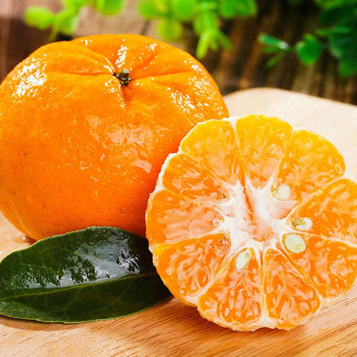 【宜昌助农馆】正宗长阳岩松坪特级椪柑45枚 商品图1