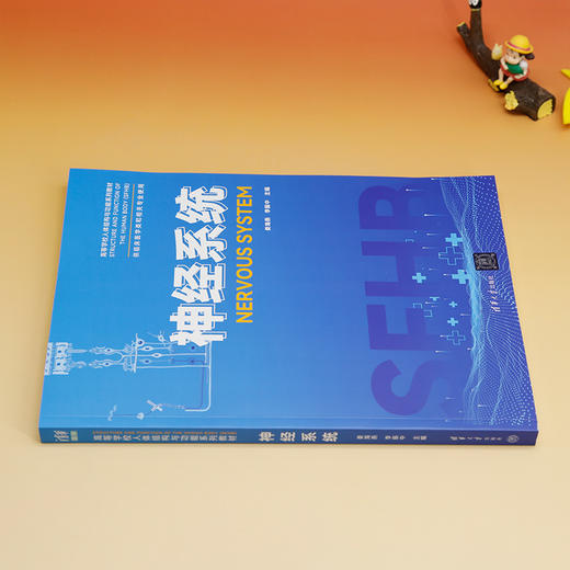 神经系统 商品图2