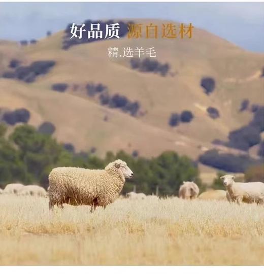 新推出90羽绒内衬出口欧洲大牌订单高货😀【花侍·高端90白鸭绒长款毛呢羽绒大衣外套】暖暖过冬羽绒内胆高贵女士首选大衣送妈妈 商品图5