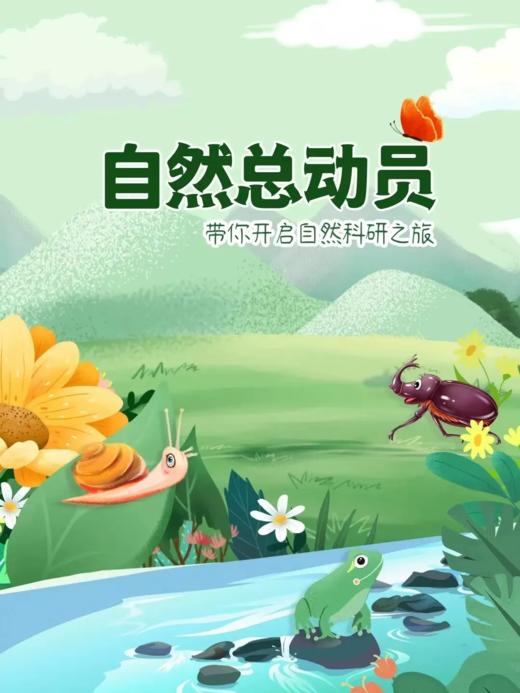 【自然总动员】移动的房车—蜗牛 商品图0