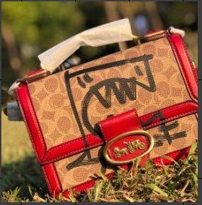 【品牌授权】Co­ach蔻­驰专柜款 红色涂鸦 女包腋下斜挎包马车标riley手拿提链条小方包 拼色盒子包 商品图2