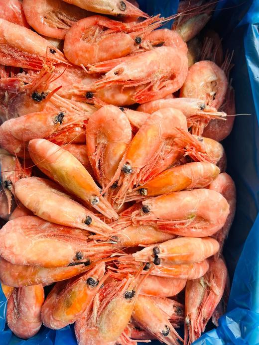 北极虾 商品图2