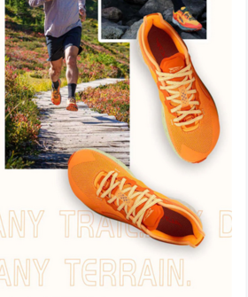 【科普】 Altra Timp 4进化史！详细讲解！