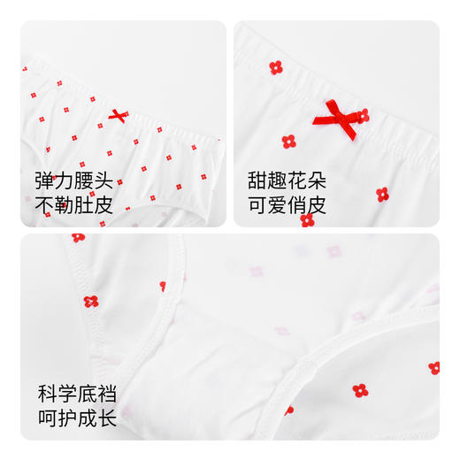 【新年红】女童内裤两件装春新款抗菌三角裤弹力安奈儿童装JG417044 商品图2