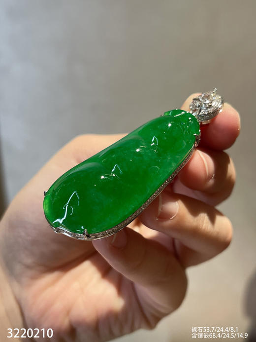 老坑艳绿富贵豆吊坠【3220210】具体价格微信咨询 商品图2