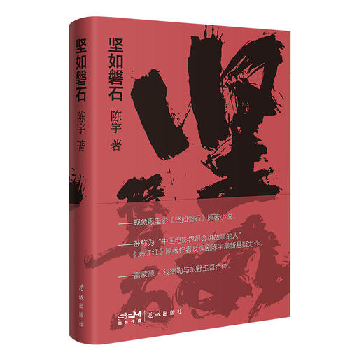 坚如磐石 原著小说 陈宇最新悬疑力作 商品图4