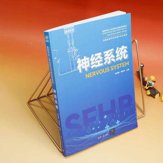 神经系统 商品图1