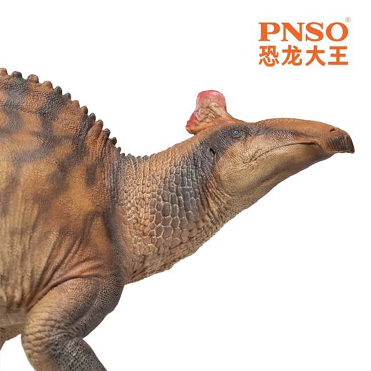 PNSO埃德蒙顿龙扎巴德恐龙大王成长陪伴模型80 商品图3